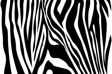 Fototapeta na wymiar Zebra Stripes Pattern. Zebra print, animal skin, tiger stripes, abstract pattern, line background, fabric. Amazing hand drawn vector illustration. Poster, banner. Black and white artwork, monochrom