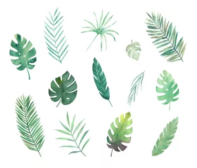 Zelfklevend Fotobehang Tropische bladeren Aquarel tropische bladeren set. Hand getekende illustratie. Geïsoleerde afbeelding