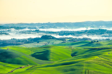countryside cultivated with fog rising in the morning sunlight