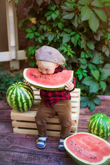 A little boy with blond hair in a cap and a red check shirt in the summer on a sunny day sitting at a gazebo with a green grapes and eating a watermelon   © capable97
