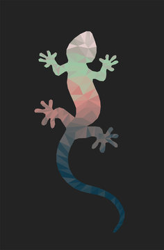 Abstract geometry polygonal Lizard. Low poly vector illustration