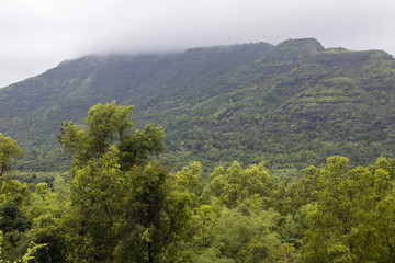Fototapeta na wymiar greenery from pune during monsoon, india, forest, beauty, hill, mountain