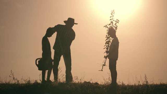 A happy family. Father and two sons plant and water the tree in the park at sunset. The concept of a happy family