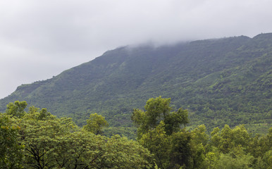 Fototapeta na wymiar greenery from pune during monsoon, india, forest, beauty, hill, mountain