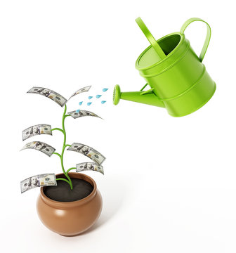 Watering of money plant with 100 dollar bills. 3D illustration