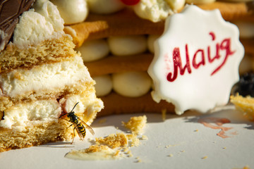 the bee sits on the cake