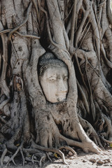 A stone head of Buddha in Wat Prha Mahathat Temple