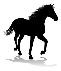 Obraz na płótnie Canvas Horse Silhouette Animal