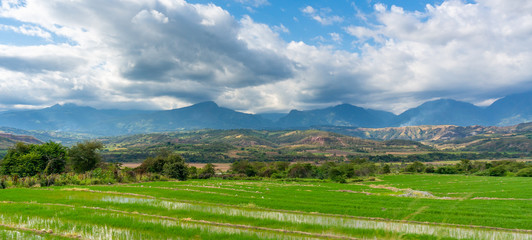Fototapeta premium peruvian landscapes