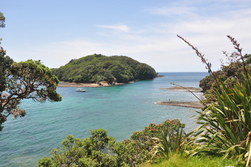 Goat Island, New Zealand
