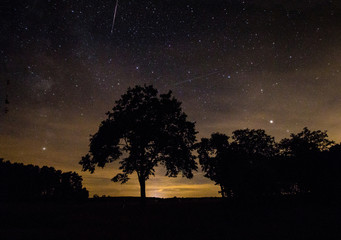 Perseiden Meteorschauer &uuml;ber Brandenburg 2018