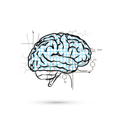 Technical hemisphere of human brain, concept illustration on white