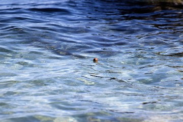 Mediterranean Sea view