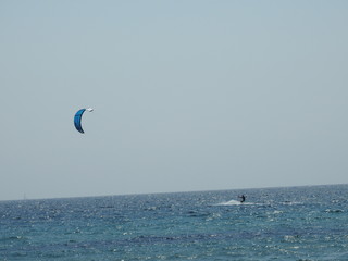 Windsurfer