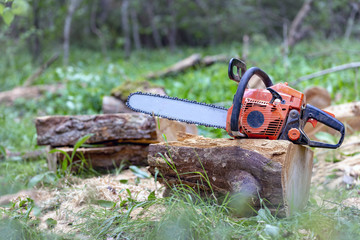 Professional chainsaw on a sawn tree in the forest