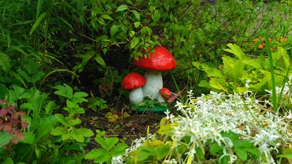 red mushrooms in the garden