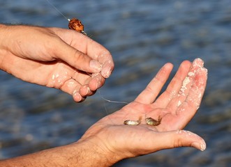 fisherman on the fishing Mediterranean sea Cyprus