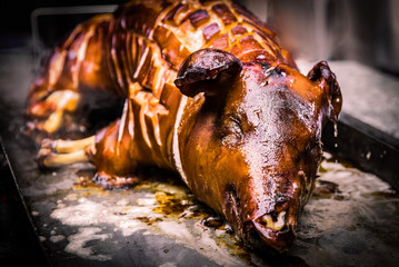 Spanferkel Barbecue BBQ Nahaufnahme Fleisch