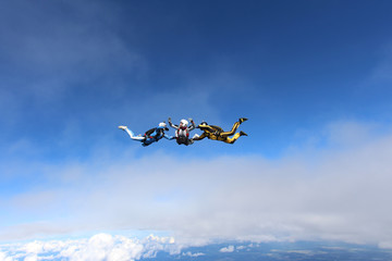Naklejka na ściany i meble Skydiving. Two instructors are training a student to fly.