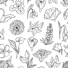 Simple seamless vector pattern with different flowers, linear drawings on a white background.