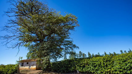 Obraz premium Rural farmhouse among agricultural land 