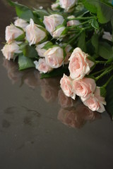 Natural fresh chic rose pink cream color on a brown surface with a reflective film