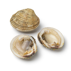 Open and closed fresh raw warty venus clam