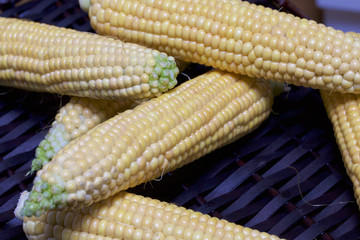 A new crop. Corn cobs lie on a wooden box.