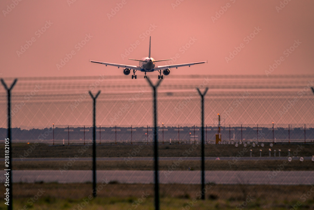 Wall mural Airplane landing at sunset