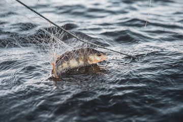 fishing nets on a boat