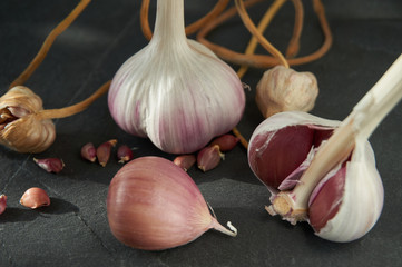 Garlic bulb cloves and bulbil on dark background