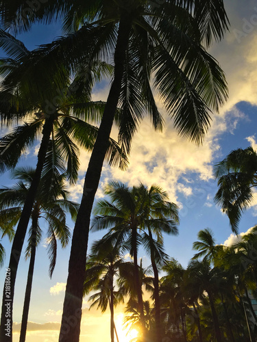 Hawaii Waikiki Beach Sunset Coconut Palm Trees On Beach At