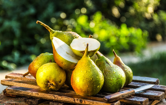 Juicy fresh pears on an old wooden board. Juicy ripe pears in a sunny garden. Harvesting. Garden fruits