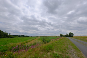 Fototapeta na wymiar Altenbrücker Weiden im Juli im Umkreis von Osterholz-Scharmbeck