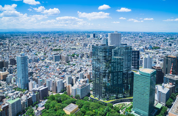 Fototapeta na wymiar 東京　都庁から眺める都市風景
