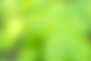 Fototapeta na wymiar Blurred green background.