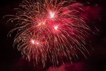 Fototapeta premium Colorful fireworks of various colors over night sky