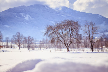 Winterlandschaft mit verschneiter Wiese, Holzzaun und Bergen