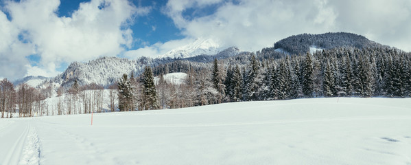 Fototapeta na wymiar Panorama einer Winterlandschaft: Schneebedeckte Wiese, Wald und Berge