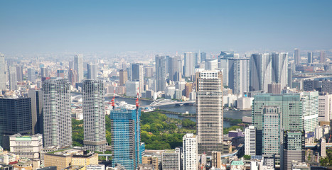 Fototapeta na wymiar panoramic view to the Tokyo, Japan from air. Cityscape with many modern business buildings