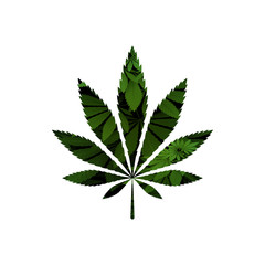 green cannabis leaf vector illustration