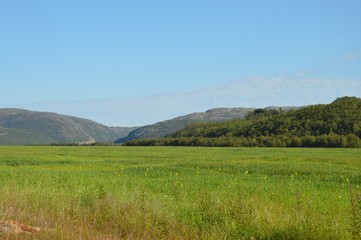 Fototapeta premium nord134