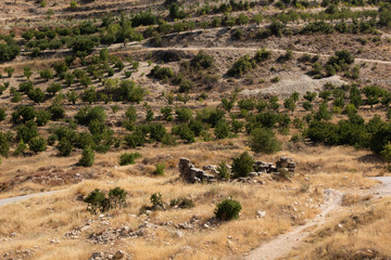 Fototapeta na wymiar Ruins of Niha Upper roman temple, in the Bekaa Valley and Mount Lebanon slopes, Lebanon.