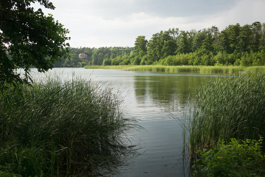 on the lake in summer in Osno Lubuskie in Poland