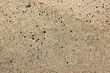 Light brown sand with water holes texture on the beach of Lake Baikal. Dotted beige sandy floor for summer vacation background with place for text