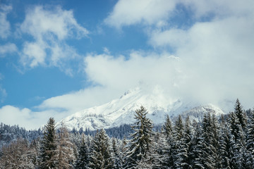 Winterlandschaft: Beschneite Bäume, Wald, Berge und blau bewölkter Himmel