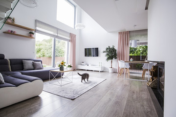 Real photo of a spacious living room interior with a corner sofa, cat, panel floor, fireplace,...