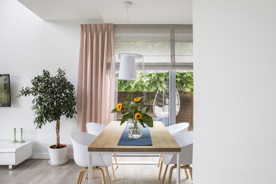 Real Photo Of A Dining Room Interior With A Table, Chairs, Tree And Big Window. Place Your Graphic