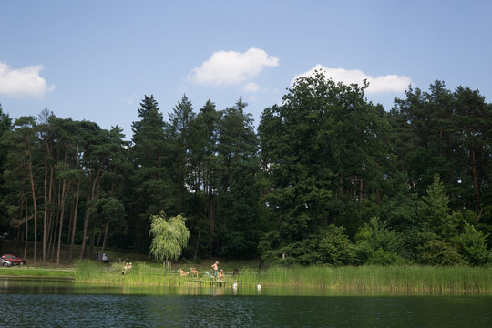 on the lake in summer in Osno Lubuskie in Poland