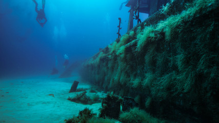 Divers ex[lore a sunken ship.